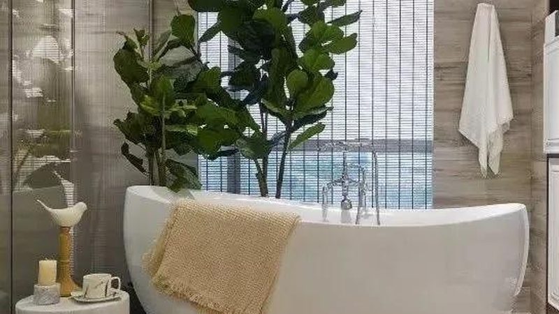 壁挂式马桶水箱：揭秘其型号与尺寸背后的秘密