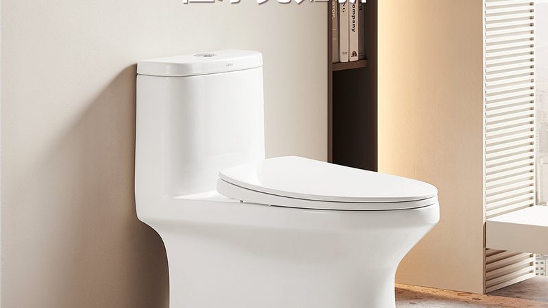 蹲便器批发价格之谜：揭秘蹲便器成本构成与选购要点